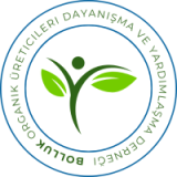 blue & orange circle illustrative education logo