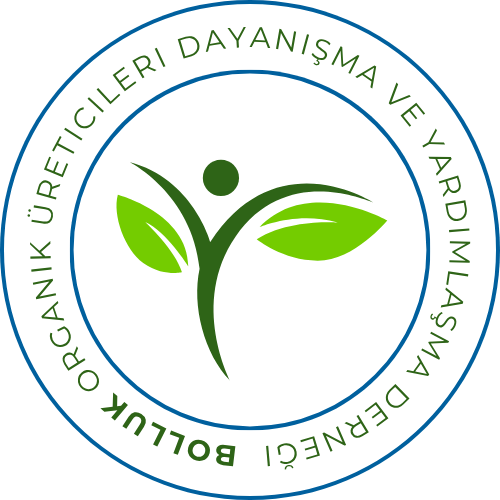 blue & orange circle illustrative education logo