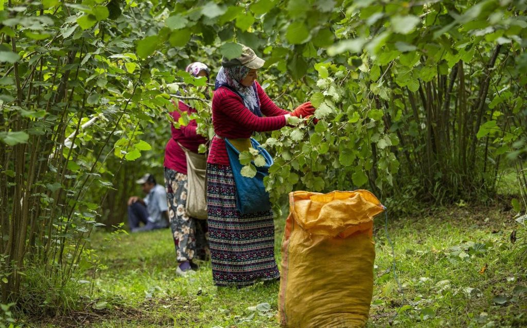 d0efb7c573b220fa 1727681814